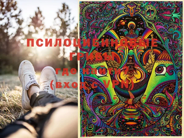 spice Дмитриев