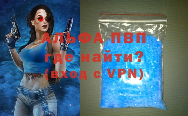 spice Дмитриев