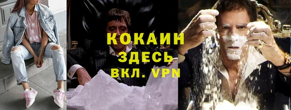 spice Дмитриев
